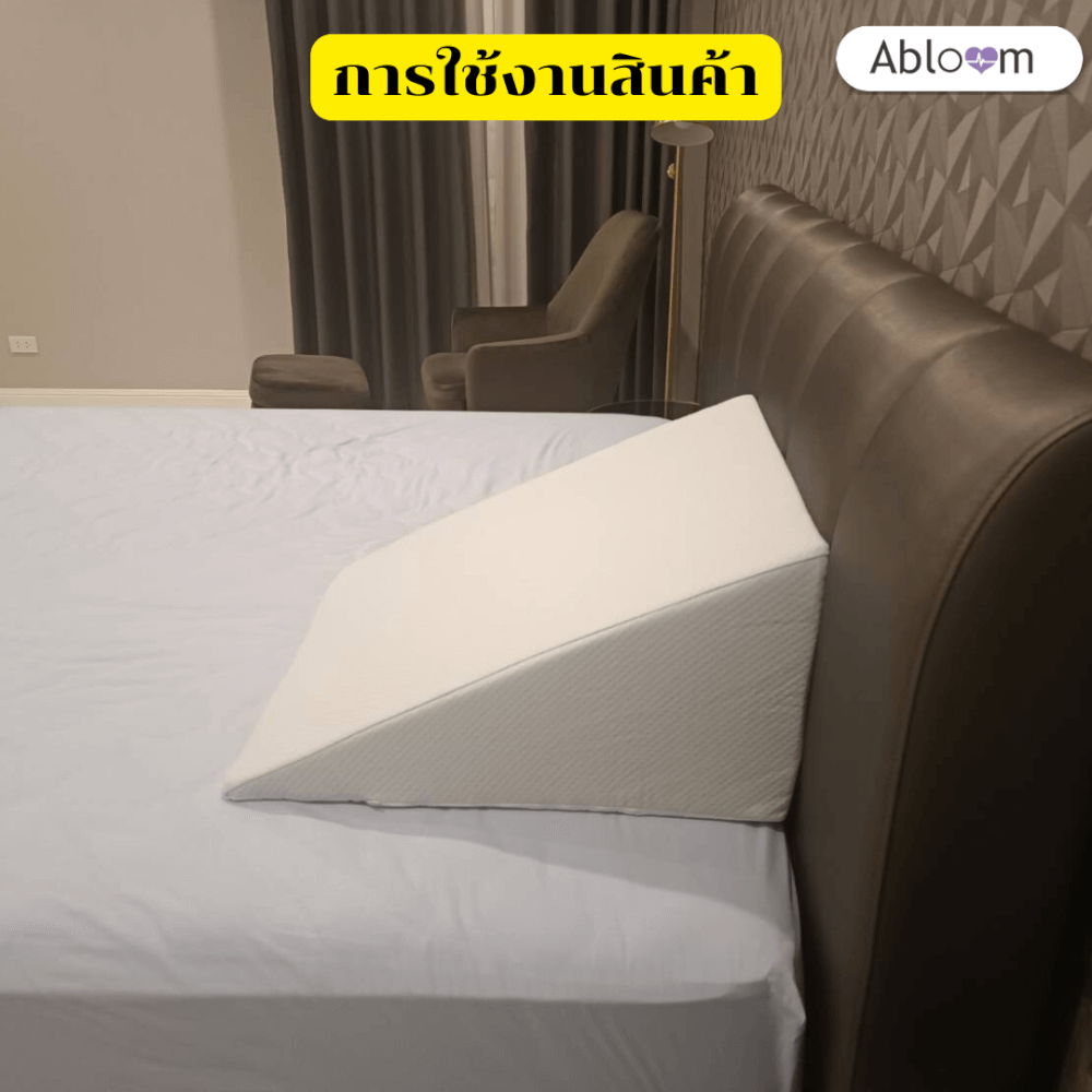 หมอนสามเหลี่ยม  รอง คอ หลัง ขา  ABLOOM 0190058003013