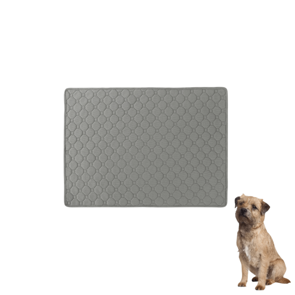 แผ่นรองฉี่สัตว์เลี้ยง THAI SUN SPORT รุ่น PET0059