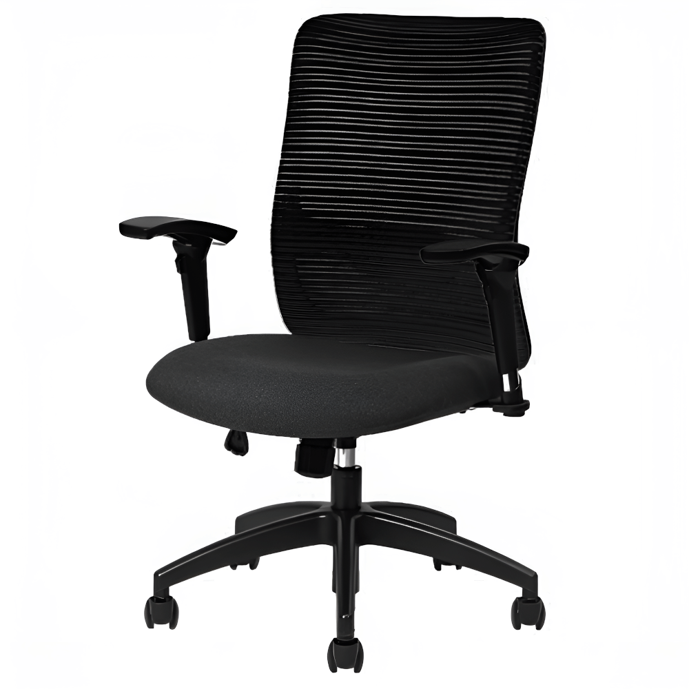 เก้าอี้ทำงาน THAI SUN SPORT รุ่น CH0165 สีดำ_0