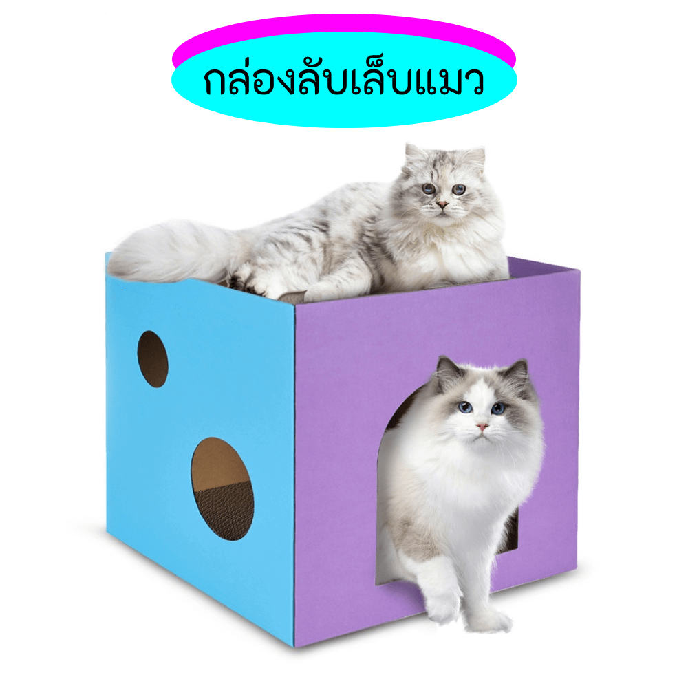 กล่องลับเล็บแมว THAI SUN SPORT รุ่น PET0016-GR