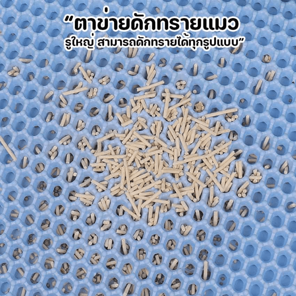 แผ่นดักทรายแมว พรม 2 ชั้น THAI SUN SPORT รุ่น PET0025-BR