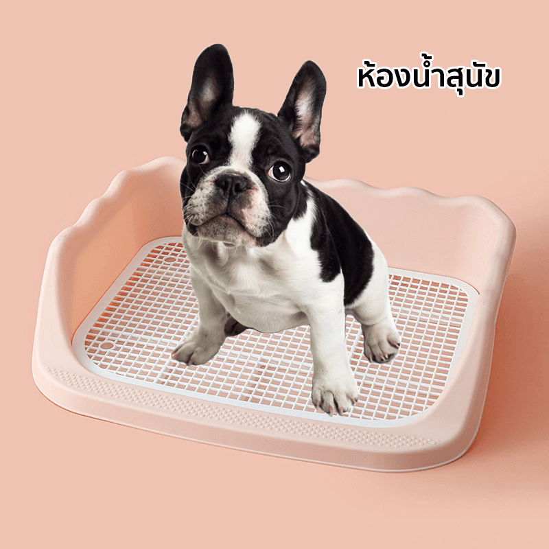 ห้องน้ำสุนัข THAI SUN SPORT รุ่น PET0004-PK