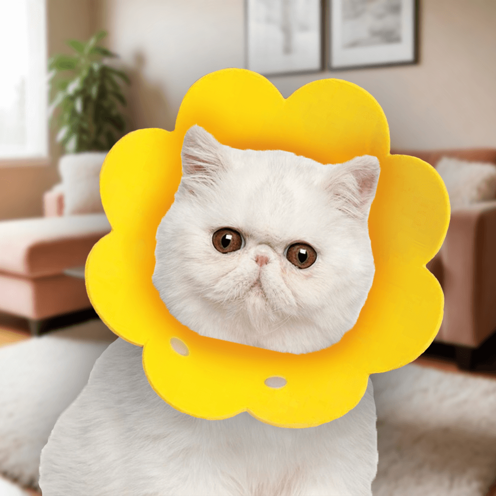 คอลล่าแมว ปลอกคอกันแมวเลีย THAI SUN SPORT รุ่น PET0026