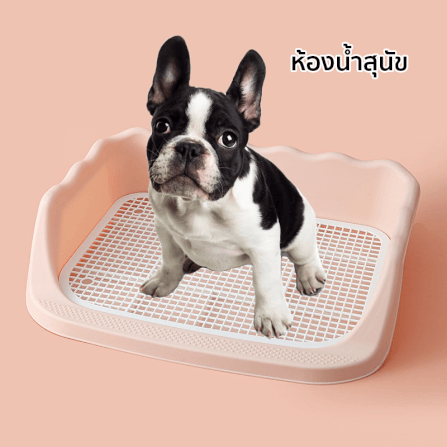ห้องน้ำสุนัข THAI SUN SPORT รุ่น PET0004-PK_2
