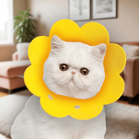 คอลล่าแมว ปลอกคอกันแมวเลีย THAI SUN SPORT รุ่น PET0026_3