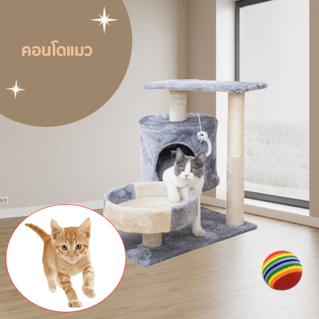 คอนโดแมว THAI SUN SPORT รุ่น PET0051GY เทาอ่อน_3