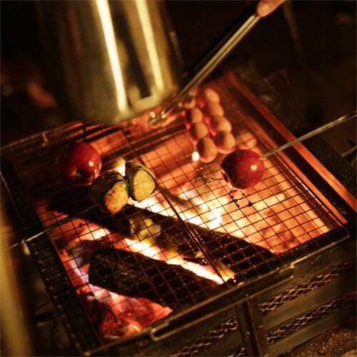 เตาถ่าน Coleman JP Fireplace Stainless 23233_8