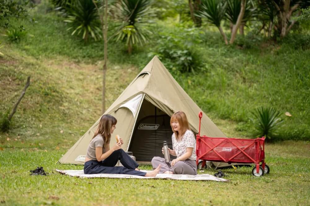 เสื่อปิคนิค Coleman JP Picnic Mat สี Crystal 38940_5