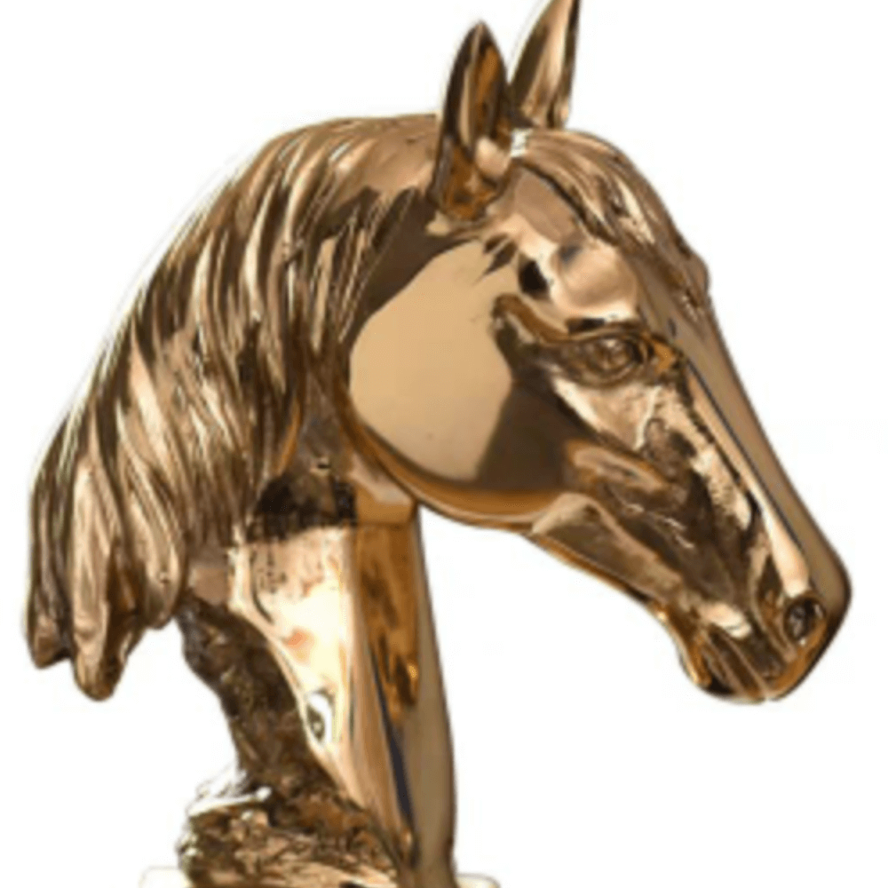 ของตกแต่งบ้าน MJHOMEDESIGNS HC356 L7XH25 CM สีทอง