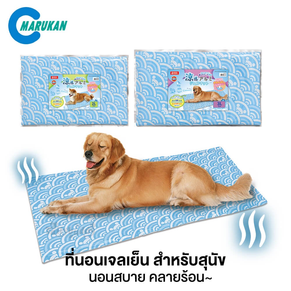 แผ่นที่นอนอลูมิเนียมเจลเย็น GONTA CLUB สำหรับสุนัขขนาดกลาง (SIZE 2L)_1