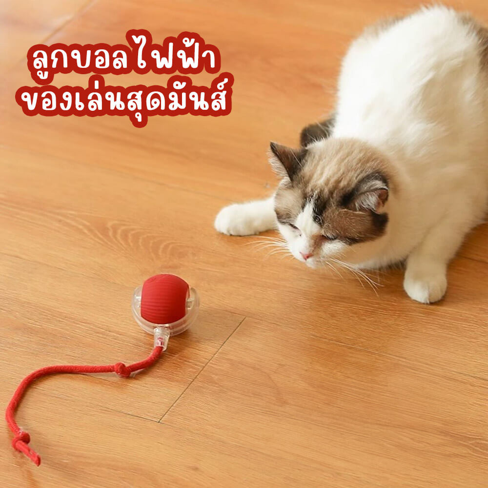 ลูกบอลกลิ้งได้ ZEZE SMART ROLLING BALL สีเทา