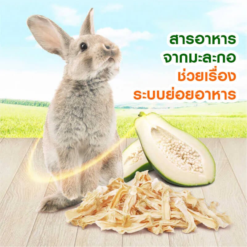 มะละกอเขียวสดอบแห้ง MR.HAY TRUFIBRE (MH41) 50G