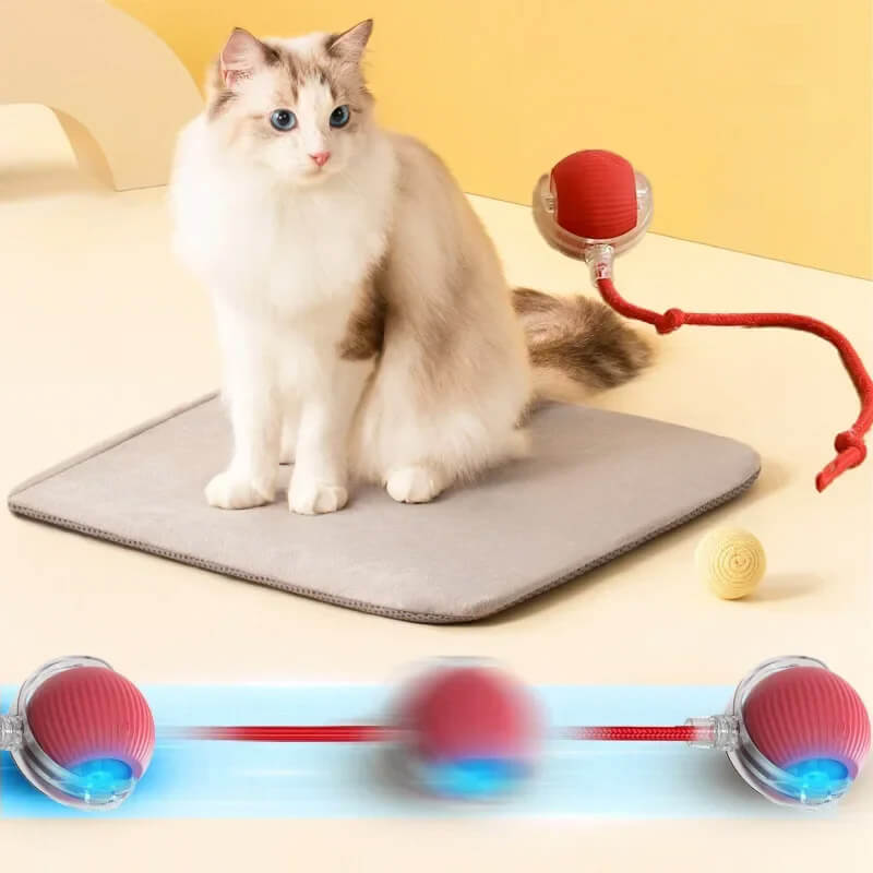 ลูกบอลกลิ้งได้ ZEZE SMART ROLLING BALL สีแดง