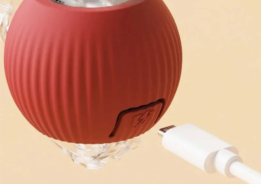 ลูกบอลกลิ้งได้ ZEZE SMART ROLLING BALL สีแดง