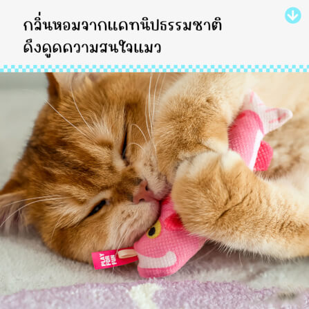 ของเล่นแมว Q-MONSTER BAG OF FISH ถุงปลา 5 ตัว_1