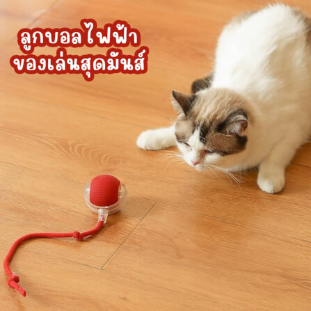 ลูกบอลกลิ้งได้ ZEZE SMART ROLLING BALL สีแดง_1
