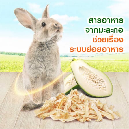 มะละกอเขียวสดอบแห้ง MR.HAY TRUFIBRE (MH41) 50G_1