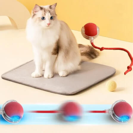ลูกบอลกลิ้งได้ ZEZE SMART ROLLING BALL สีเทา_2