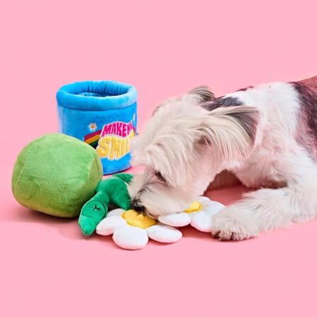 ของเล่นผ้านุ่ม PETHROOM NOSE WORK TOY - SMILE WE LOVE สำหรับสุนัขและแมว_3