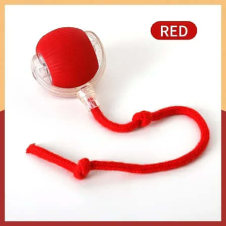 ลูกบอลกลิ้งได้ ZEZE SMART ROLLING BALL สีแดง_4