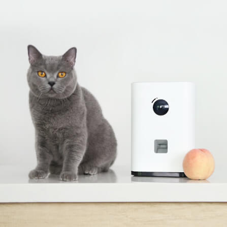 เครื่องโยนขนมสัตว์เลี้ยง  XIAOMI PAWBBY Smart Pet Snack Machine _1