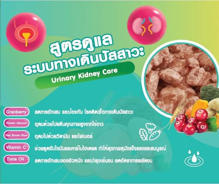 อาหารเปียกสุนัข แม็กซีม่า สูตรดูแล ระบบทางเดินปัสสาวะ 380 กรัม x4