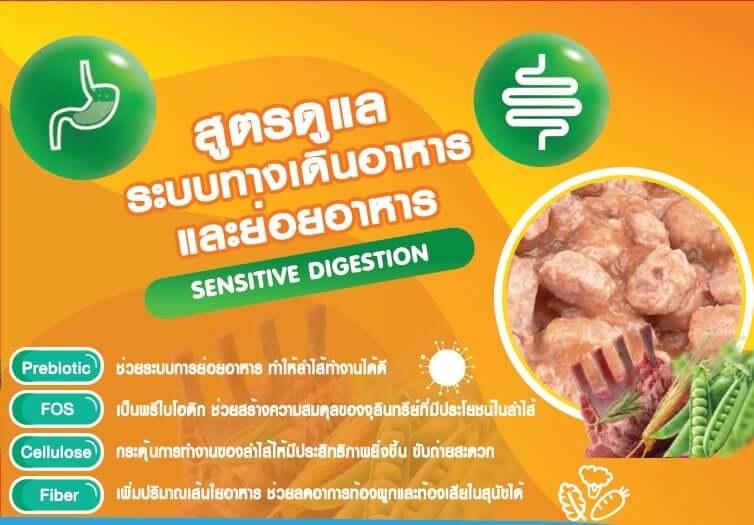 อาหารเปียกสุนัข แม็กซีม่า สูตรดูแลระบบทางเดินทางอาหารและย่อยง่าย 380 กรัม x4