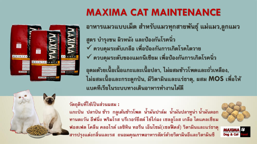 อาหารเม็ด สำหรับแมว แม็กซีม่า 15 กก
