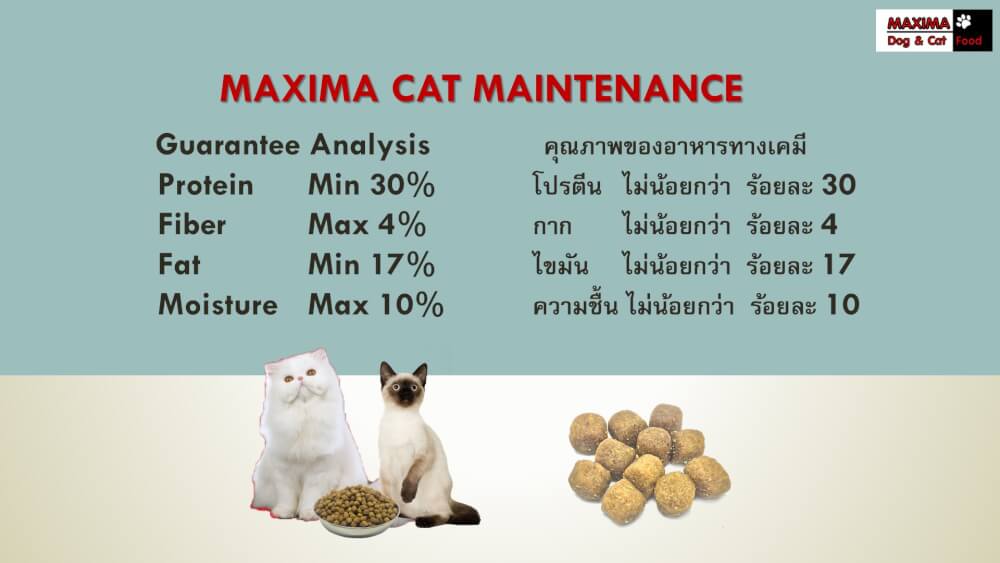 อาหารเม็ด สำหรับแมว แม็กซีม่า 15 กก
