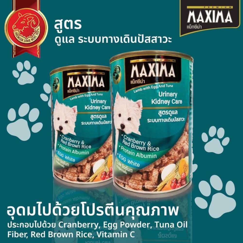 อาหารเปียกสุนัข แม็กซีม่า สูตรดูแล ระบบทางเดินปัสสาวะ 380 กรัม x4