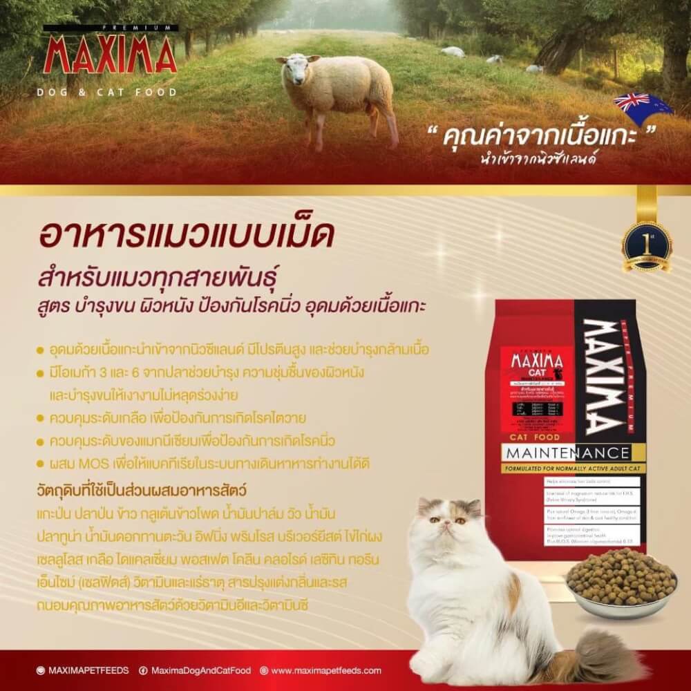 อาหารเม็ด สำหรับแมว แม็กซีม่า 15 กก