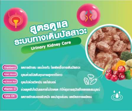 อาหารเปียกสุนัข แม็กซีม่า สูตรดูแล ระบบทางเดินปัสสาวะ 380 กรัม x4_3
