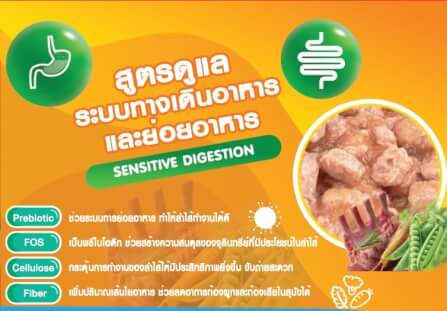 อาหารเปียกสุนัข แม็กซีม่า สูตรดูแลระบบทางเดินทางอาหารและย่อยง่าย 380 กรัม x4_3