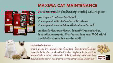 อาหารเม็ด สำหรับแมว แม็กซีม่า 15 กก_4