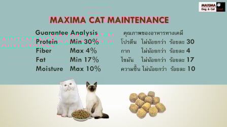 อาหารเม็ด สำหรับแมว แม็กซีม่า 15 กก_5