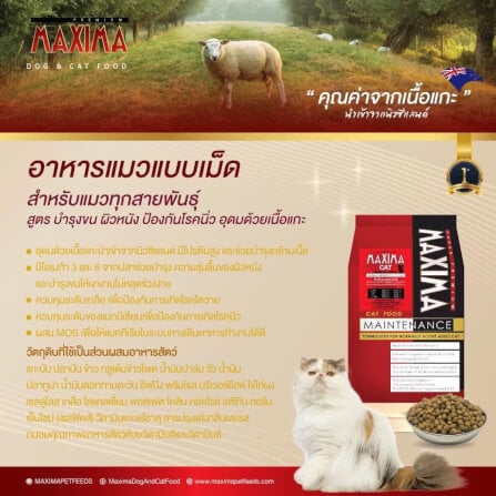 อาหารเม็ด สำหรับแมว แม็กซีม่า 15 กก_7
