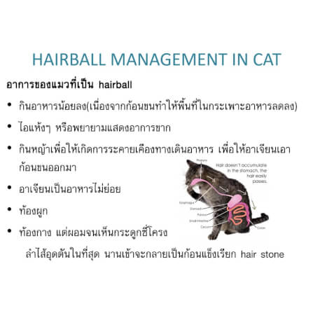 อาหารเสริม สำหรับสุนัขและแมว วิตามินช่วยระบายก้อนขน แฮโทน เจล 70 กรัม_2