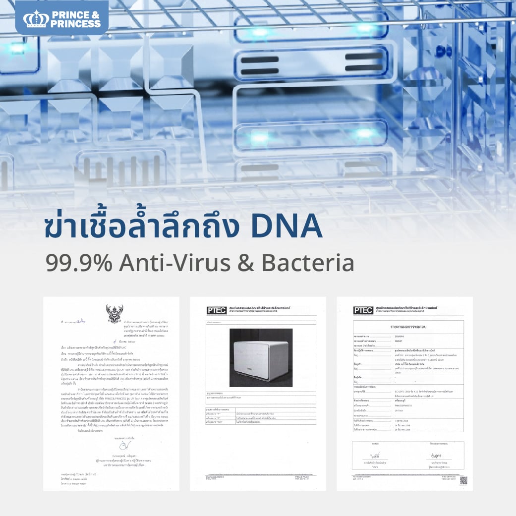 เครื่องอบยูวี PRINCE & PRINCESS รุ่น UV TECH 30 ลิตร_2