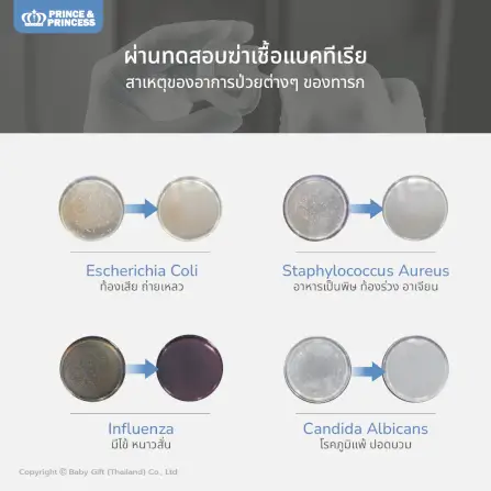 เครื่องอบยูวี PRINCE & PRINCESS รุ่น UV FLEX_6