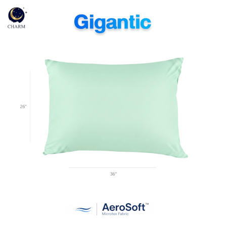 ปลอกหมอนหนุน CHARM AEROSOFT™ MICROTEX 26 X 36 นิ้ว สีเขียวมิ้นท์_2