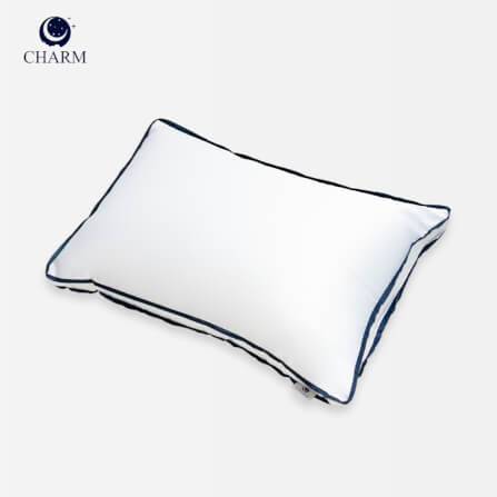 หมอนสุขภาพ CHARM HYPNOSIS ไมโครเจล 700 กรัม ขนาด 19