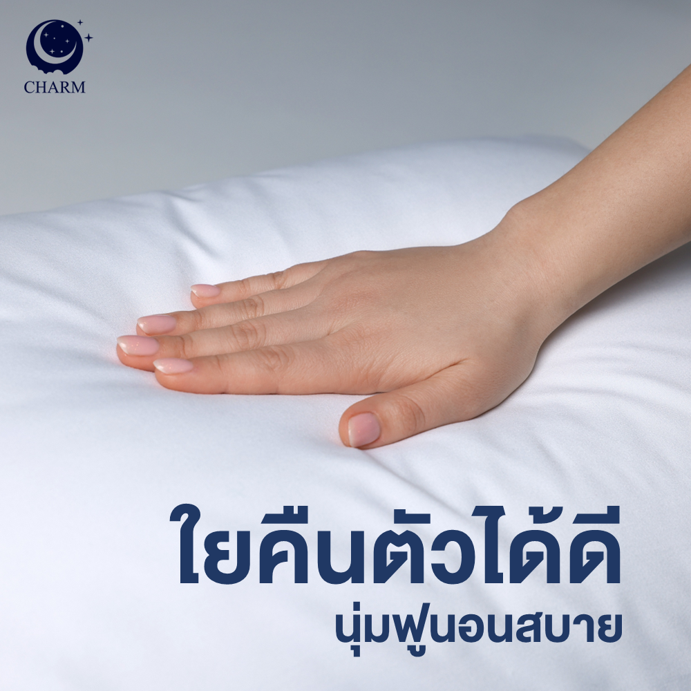 CHARM หมอนหนุน รุ่น AEROPLUSH ขนาด 20X32 นิ้ว ไมโครเจล DOWN ALTERNATIVE 800 กรัม นุ่มแน่น ระดับโรงแรม_2