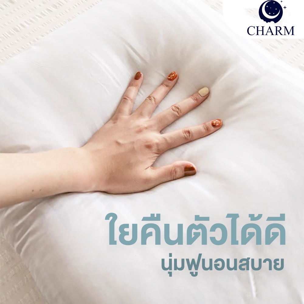 CHARM หมอนหนุน รุ่น COMFORT แพ็คคู่ ขนาด 17 X 27 นิ้ว SUGAR BROWN_3