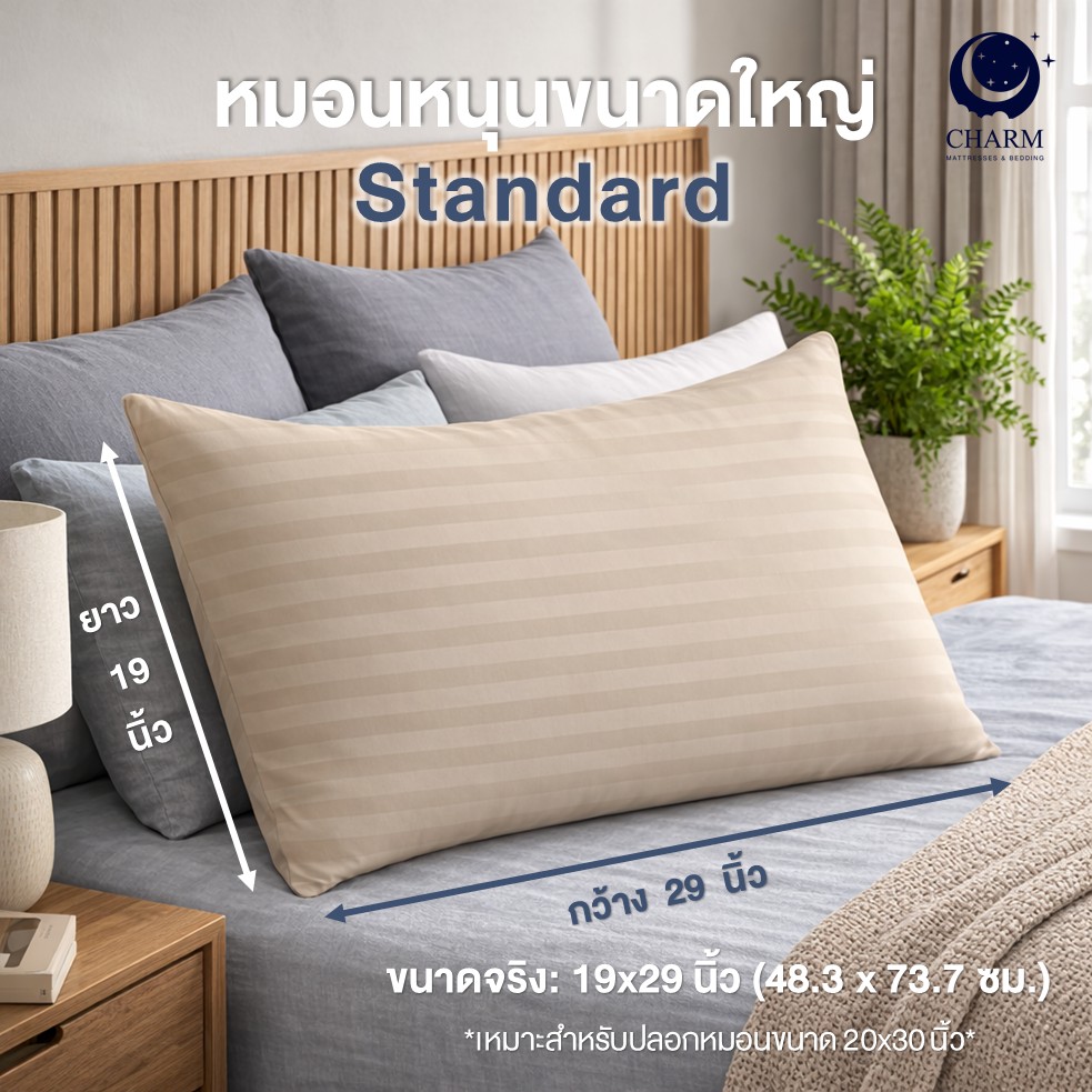 หมอนหนุน CHARM SWEET DREAM ซื้อ 1 แถม 1 หมอนนุ่มเด้ง สไตล์โรงแรม 19X29 นิ้ว 1,000 กรัม สี SUGAR BROWN_3