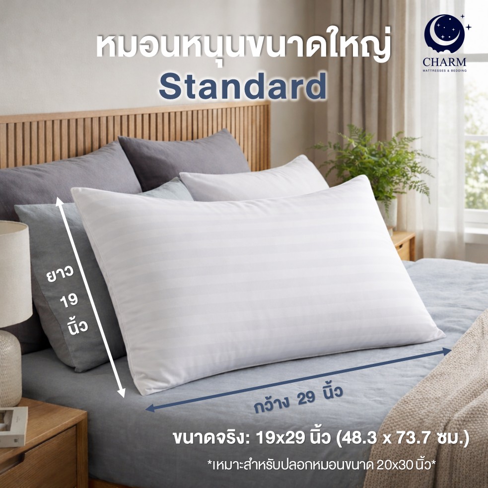 หมอนหนุน CHARM SWEET DREAM ซื้อ 1 แถม 1 หมอนนุ่มเด้ง สไตล์โรงแรม 19X29 นิ้ว 1,000 กรัม สี WHITE_3
