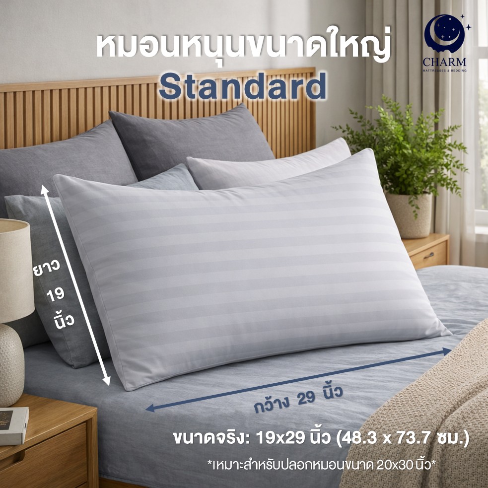 หมอนหนุน CHARM SWEET DREAM ซื้อ 1 แถม 1 หมอนนุ่มเด้ง สไตล์โรงแรม 19X29 นิ้ว 1,000 กรัม สี GREY_3