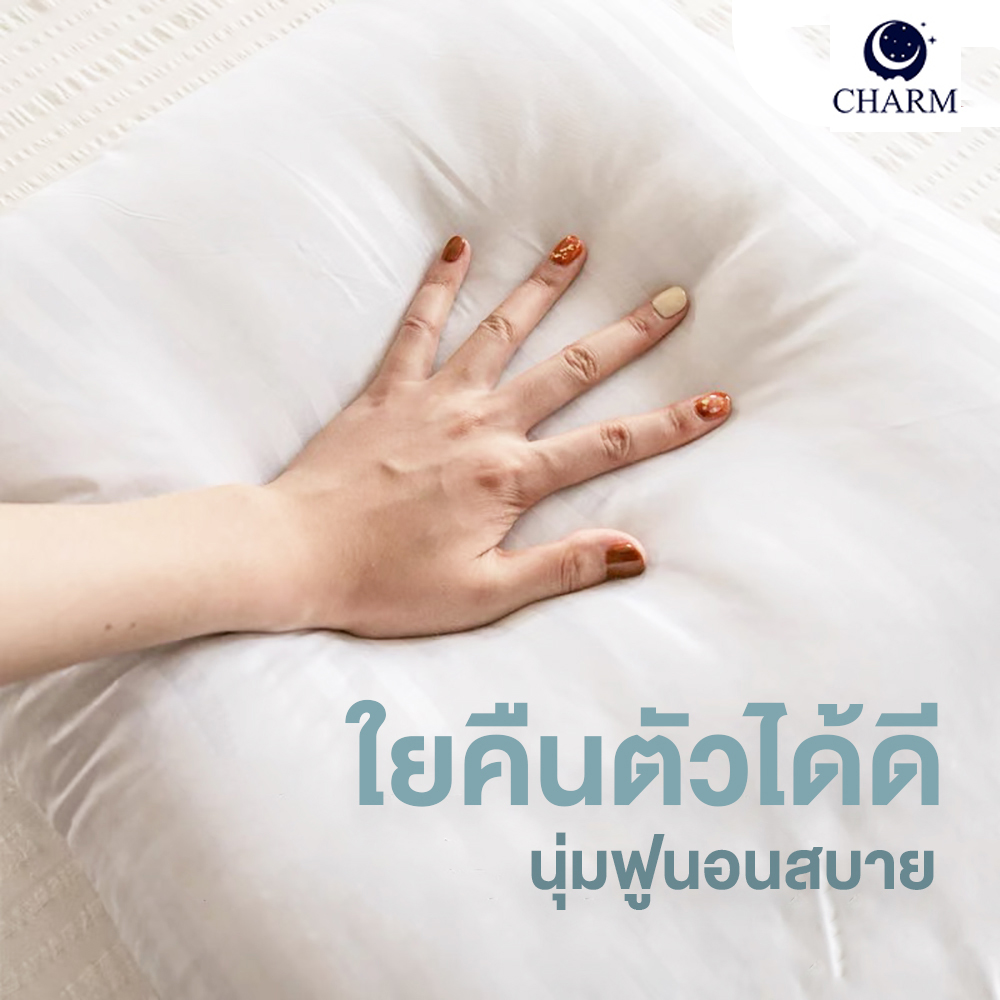 CHARM หมอนหนุน รุ่น AEROPLUSH ขนาด 20X32 นิ้ว ไมโครเจล DOWN ALTERNATIVE 800 กรัม นุ่มแน่น ระดับโรงแรม_5