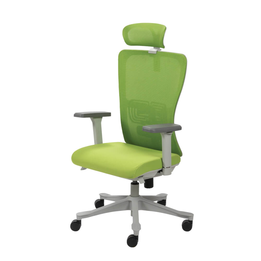 เก้าอี้สำนักงาน PRACTIKA DYNAMIC-H สีเขียว_11