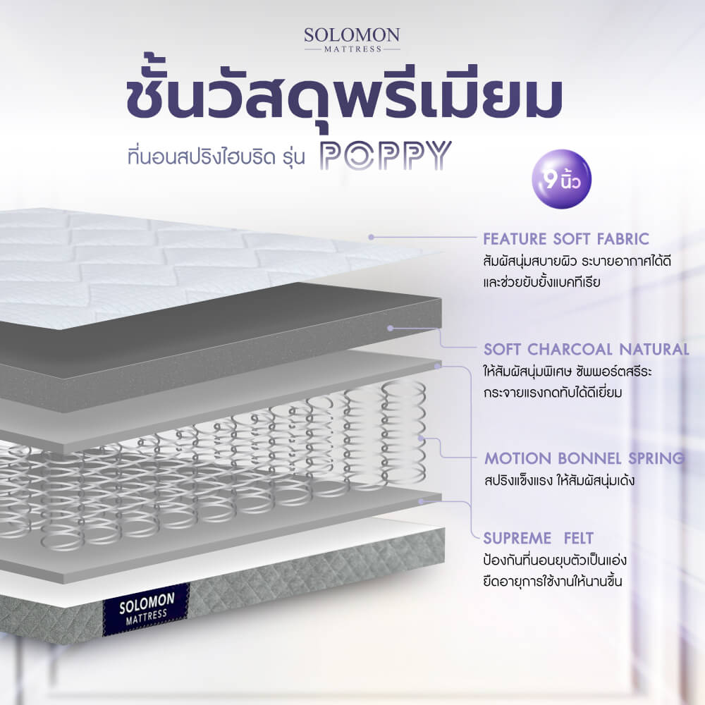 ที่นอน 5 ฟุต SOLOMON รุ่น POPPY หนา 9 นิ้ว_2