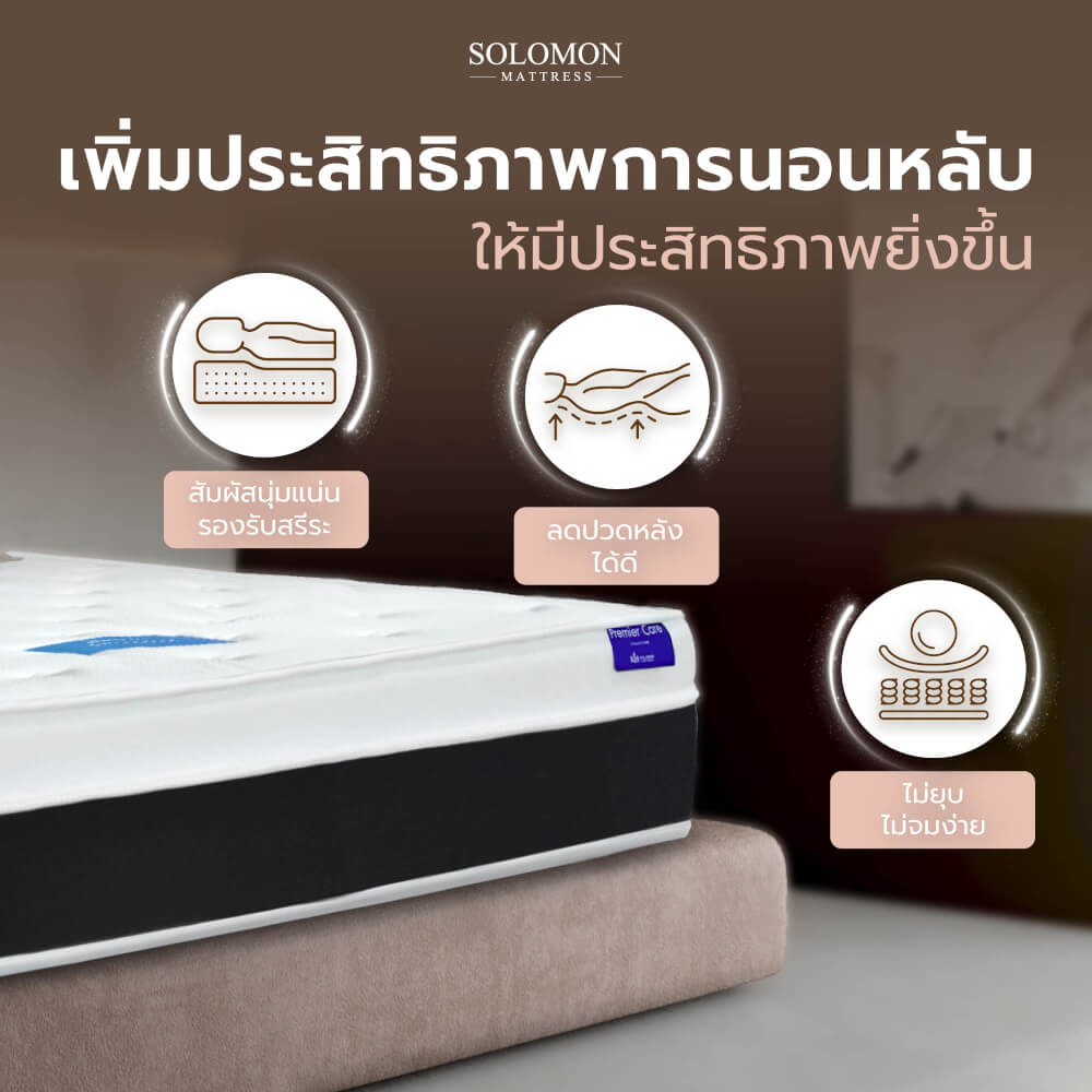 ที่นอน 5 ฟุต SOLOMON รุ่น LUCA หนา 9 นิ้ว_3